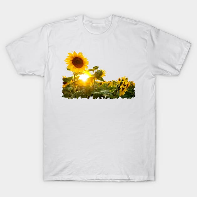 Sun & Flower T-Shirt by Mel's Stuff